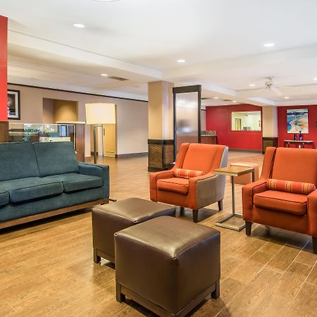 Comfort Inn & Suites Kissimmee By The Parks Four Corners Exteriör bild